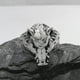 thumbnail image 2 of Anillo de jabalí para hombres, anillo de cerdo de acero inoxidable, anillos de jabalí vintage, anillo de cabeza de jabalí vikingo nórdico, anillo de amuleto de tótem de jabalí, 2 of 5