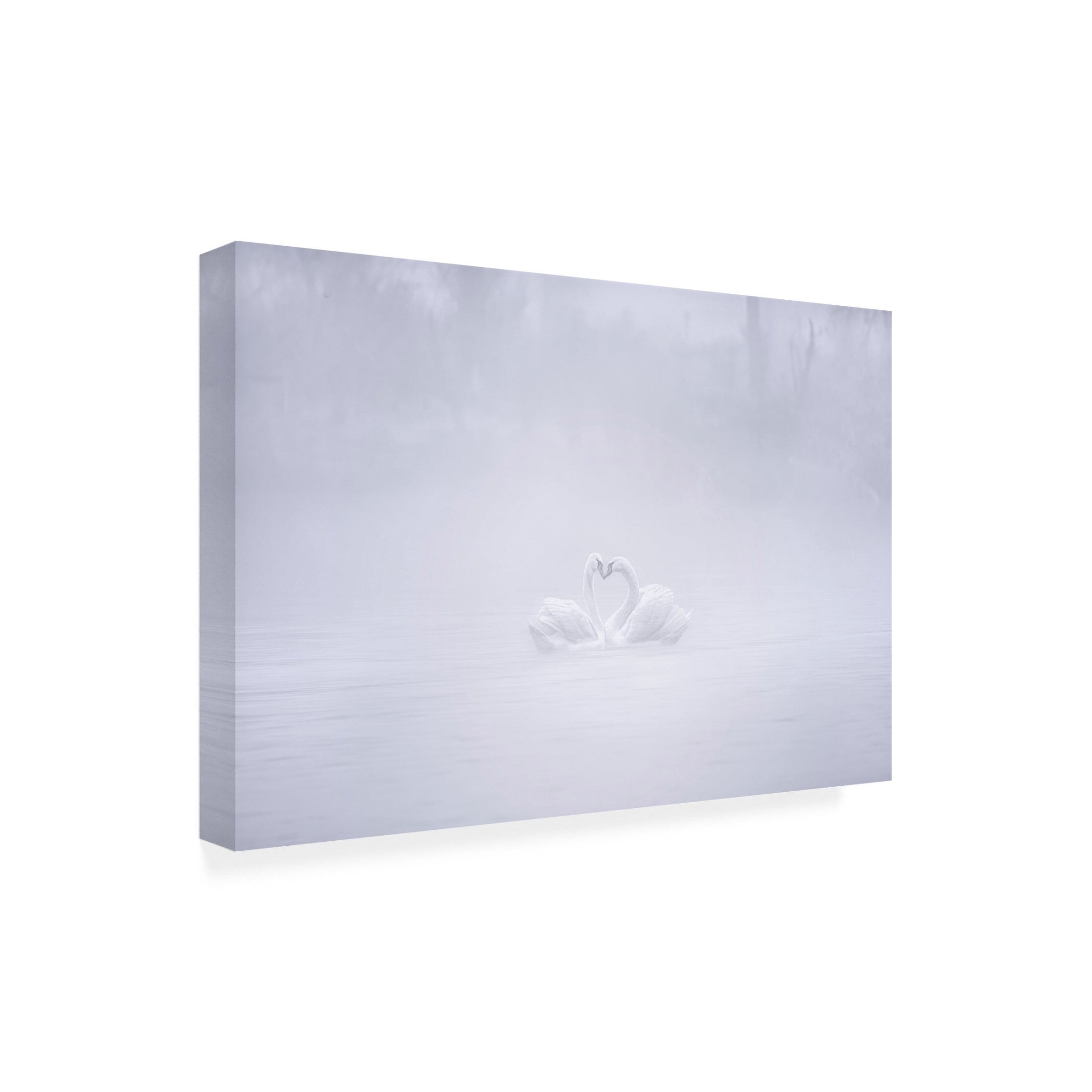 Trademark Fine Art Joan Zhang Love In The Foggy Morning Canvas Wall Art