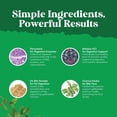 thumbnail image 6 of Natures Craft Gallbladder Support Digestive Enzymes with Purified Bile Salts & Pancreatin, 90 Caps, 6 of 10