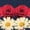 NAVY, variant on Instant Message - Flower USA Flag Short Sleeve Graphic T-Shirt