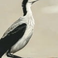thumbnail image 6 of Round Tablecloth Two Japanese Cranes Flying Traditional Painting Printed Picnic Table Cloth,Round Fitted Tablecloth, 6 of 8