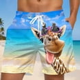 thumbnail image 1 of Casual Summer Shorts For Daily Wear Outdoor Travel Lightweight Stretch Comfort Fit With Pockets, 1 of 3