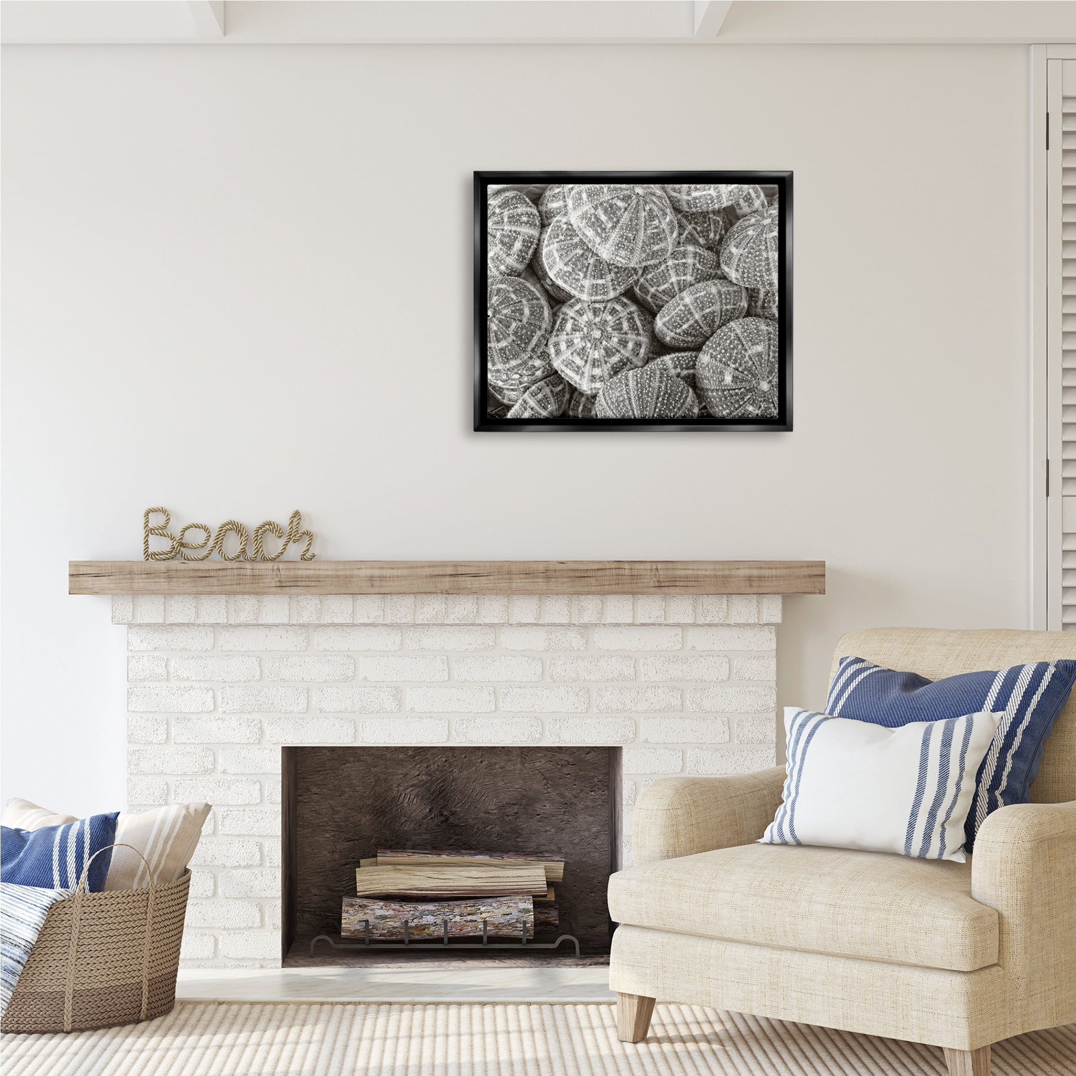 Stupell Industries Pewter Sea Urchins Photography Animals & Insects Photography Black Floater Framed Art Print Wall Art, 31 x 25