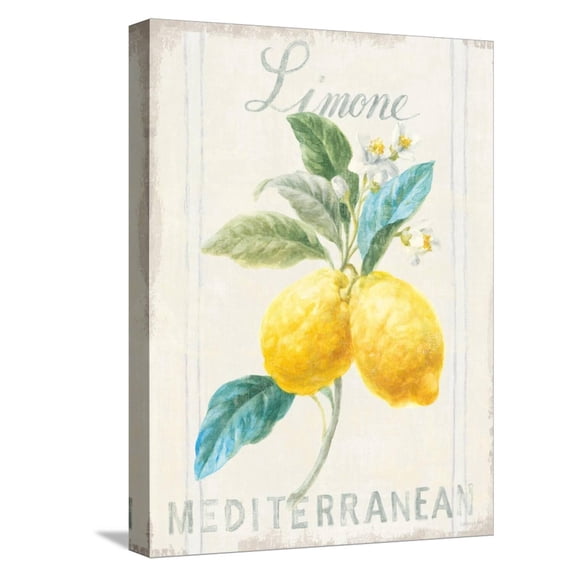 Art.com Floursack Lemon III Stretched Canvas Print Wall Art by Danhui Nai, 12" x 16"