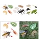 thumbnail image 1 of Modelo de crecimiento de de animal de plástico para , juguetes de biología de aprendizaje Hugo Juego de crecimiento de insectos para niños, 1 of 10