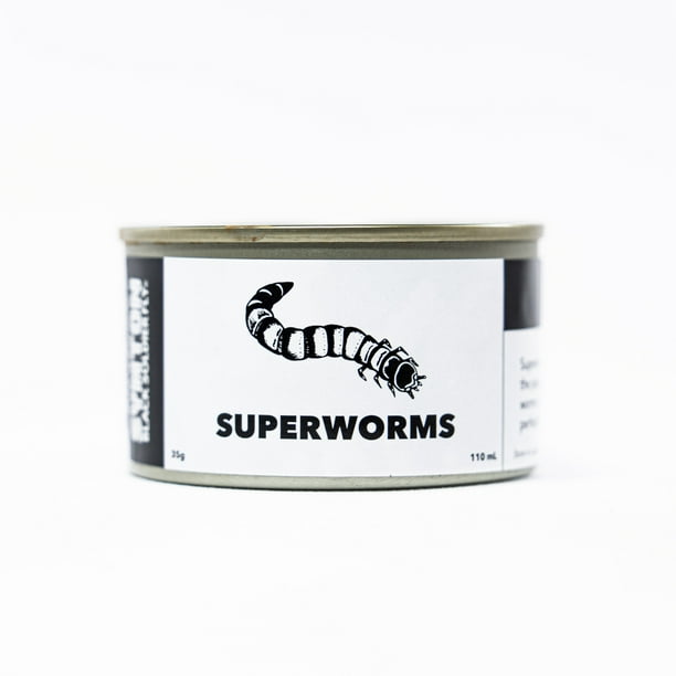 Symton Canned Superworms for Reptiles (1 Can)