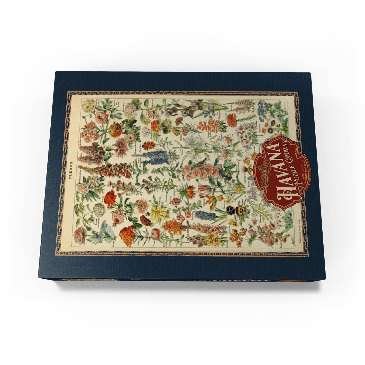 MyPuzzle - Fleurs - Flowers For All, Vintage Art Poster, Adolphe Millot - Premium 1000 Piece Jigsaw Puzzle for Adults