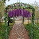 thumbnail image 3 of Yuarrent Guirnalda de flores artificiales de mimbre de vid de planta de glicinia falsa de 12 piezas para la decoración de la boda del hogar de negocios Kits de decoración para fiestas Beige Yuarrent HA084362-03, 3 of 6