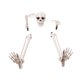 thumbnail image 3 of Estacas de esqueleto para decoración de Halloween, estacas de terror para Halloween, accesorios de ambiente para jardín, patio exterior, 3 of 8