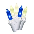 Holiday Time LED Mini Light Set White Wire Blue/ Warm White/Frosted