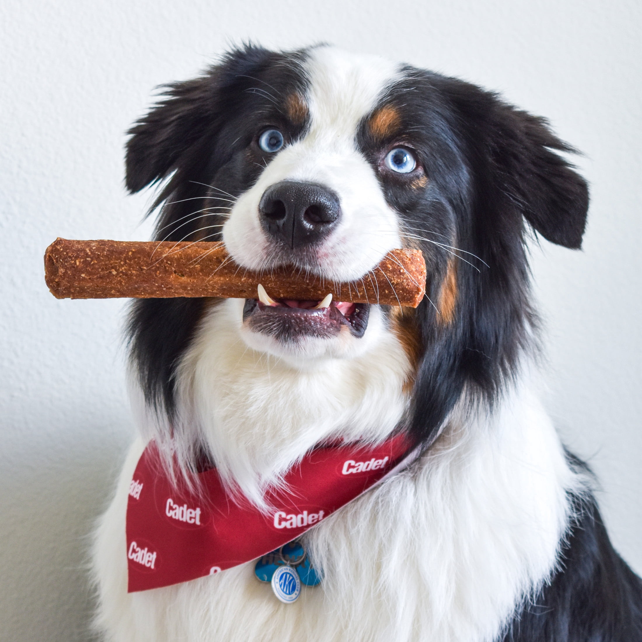 Cadet Chewalicious Dog Treats Chewy 'N Savory Rolls, Rawhide Free Chew Sticks for Dogs, Duck Flavor, 2 Count