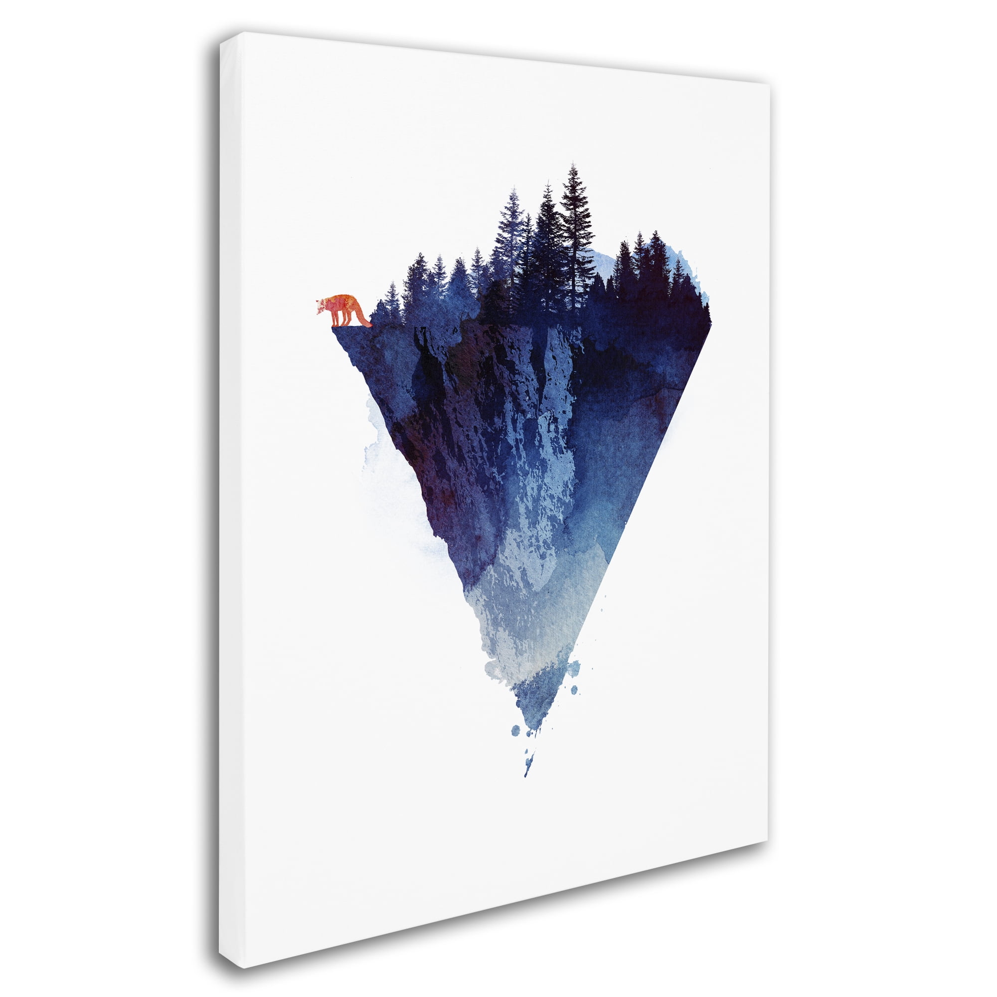 Trademark Fine Art 'Near To The Edge' Canvas Art by Robert Farkas