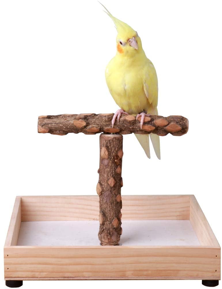 Parrot Perch Pet Bird T-Stand Mobile Table Top Wood Playstand 