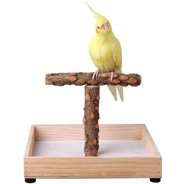 Bird discount gym stand