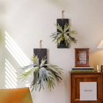 thumbnail image 2 of Artificial Antler Fern on Solid Wood Base, 2 of 7