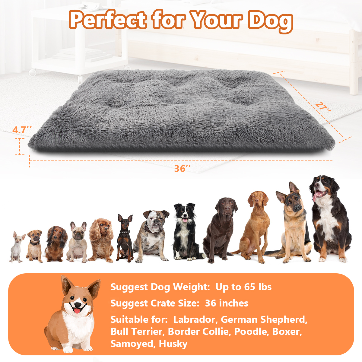 Cshidworld Plush Orthopedic Dog Bed, Large photo 5