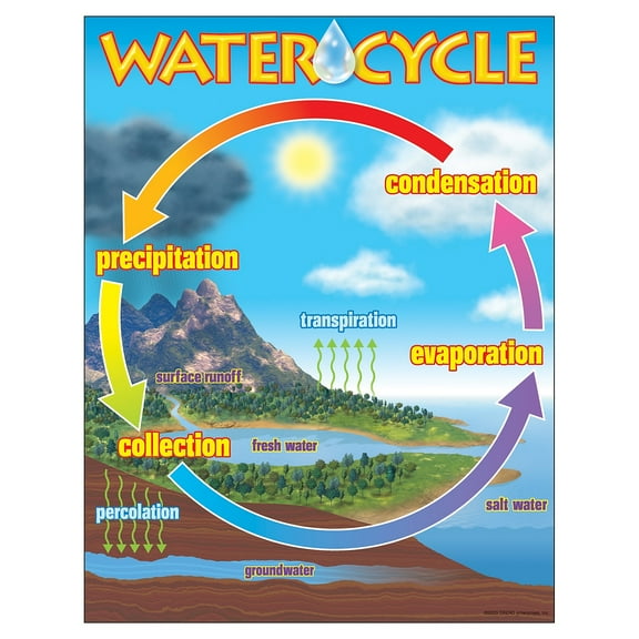 The Water Cycle Learning Chart 17x22 [T38119]