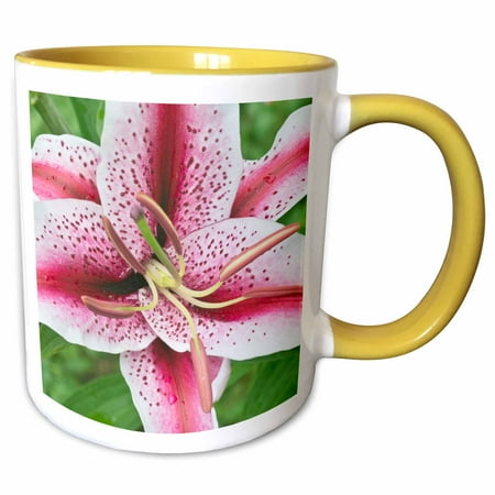 3drose, Usa, Washington, Bellevue, Lily., 11oz Two-tone Yellow Mug