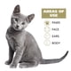 thumbnail image 4 of Toallitas limpiadoras Wahl Cat Refresh Oatmeal, 50 unidades, 4 of 7
