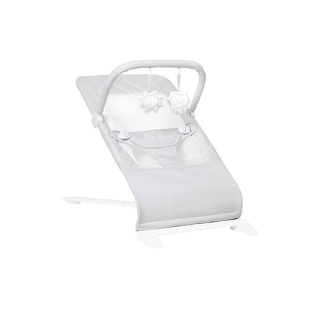 Baby Delight Alpine Deluxe Portable Bouncer, for Infants 0-6 Months, Driftwood Grey