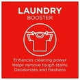 thumbnail image 4 of Borax Laundry Booster Powder - Stain Removing - 5 Pack, 4 Pounds, 4 of 5