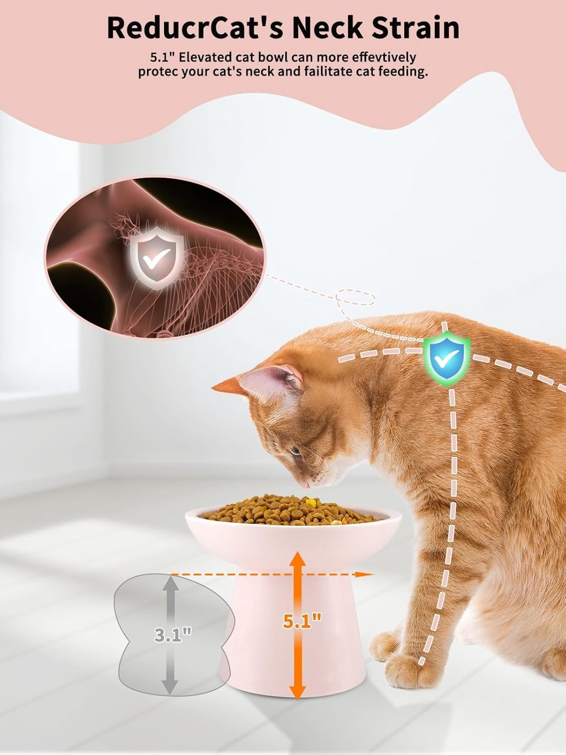 Elevated   and Water Bowls Set, Extra Wide and Raised Ceramic Feeder, Anti-Vomit -Free  Feeding Bowl for Kittens Adult Cats Small Dogs (, Bowl Set)
