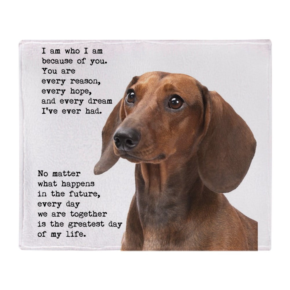 CafePress Frenchie Traits Throw Blanket Soft Fleece Throw Blanket 50x60 Stadium Blanket CafePress Frenchie Traits Throw Blanket Soft Fleece Throw Blanket 50x60 Stadium Blanket