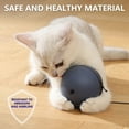 thumbnail image 6 of Pelota de juguete segura con movimiento aleatorio para interiores. Incluye ratón., 6 of 7