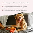 thumbnail image 6 of Dr. Mercola Organic Astaxanthin Liquid Pump for Cats & Dogs (1.45 Fl. Oz.) 0.2 ml per pump, 215 pumps, USDA Certified Organic, Non-GMO, Gluten Free, Soy Free, 6 of 7