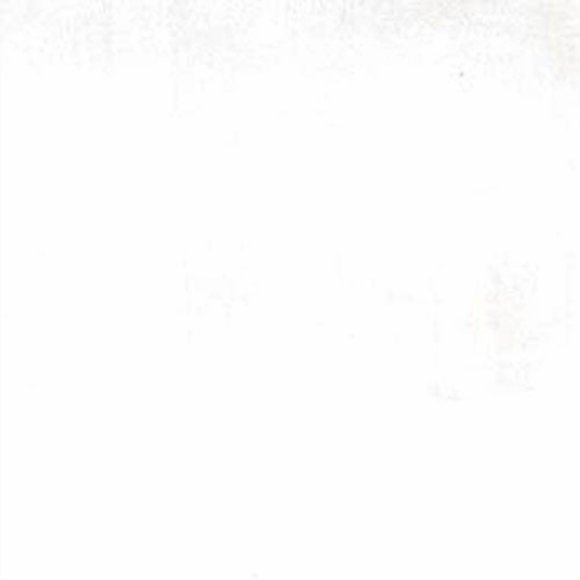 Moda Basic Grey Grunge Modern Texture White