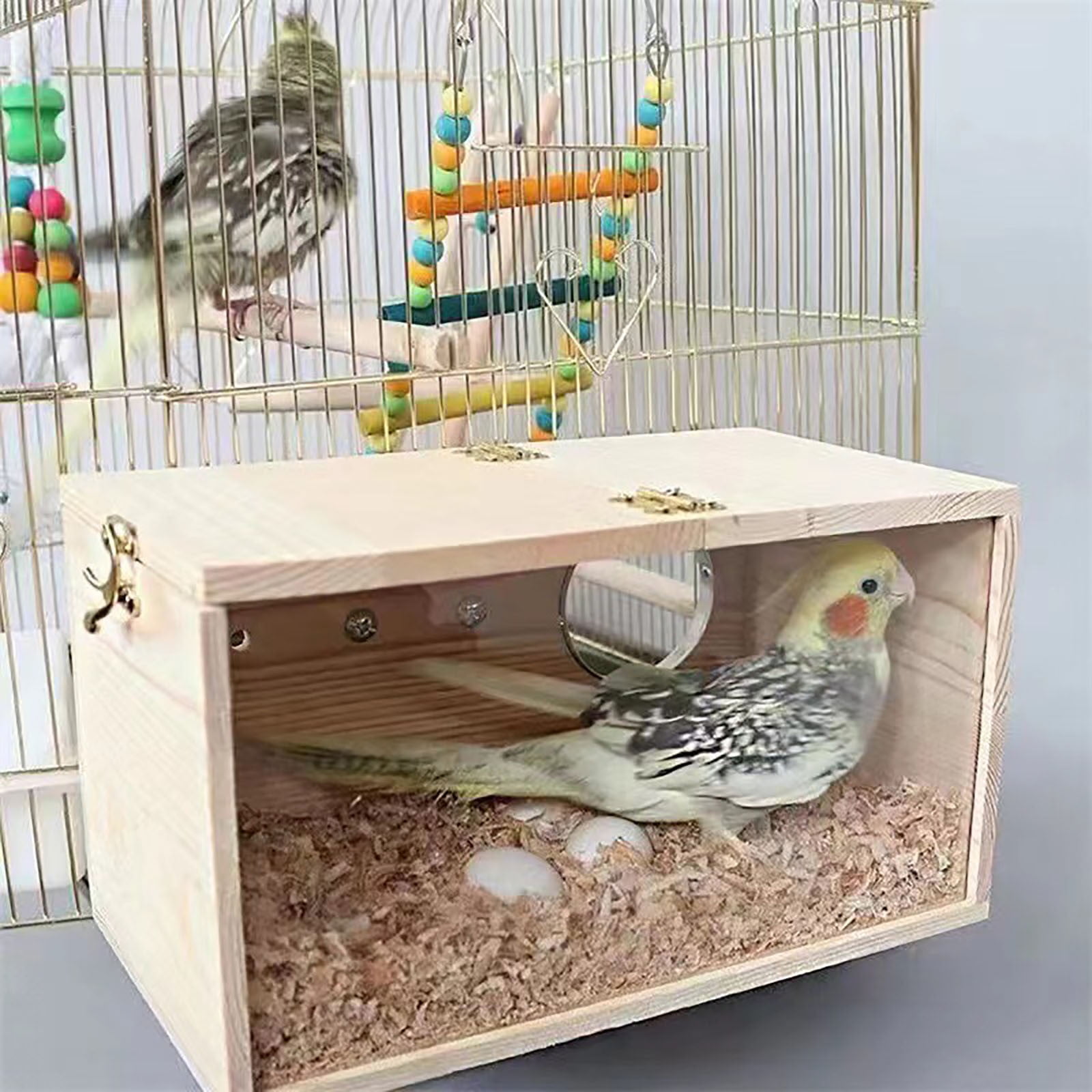 Bird for Small Birds - Transparent Wood Breeding for Budgies Parrots Lovebirds Finches Cage Accessories