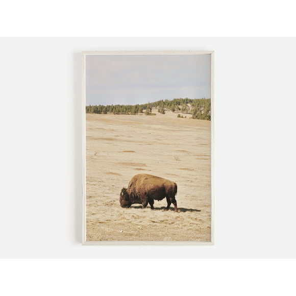 Wildlife Wall Art Western Country Rustic Print Buffalo Bull Elk Cowboy Horse Yellowstone Bison Canvas Painting Home Decor50 x 70 cm, unframed,07