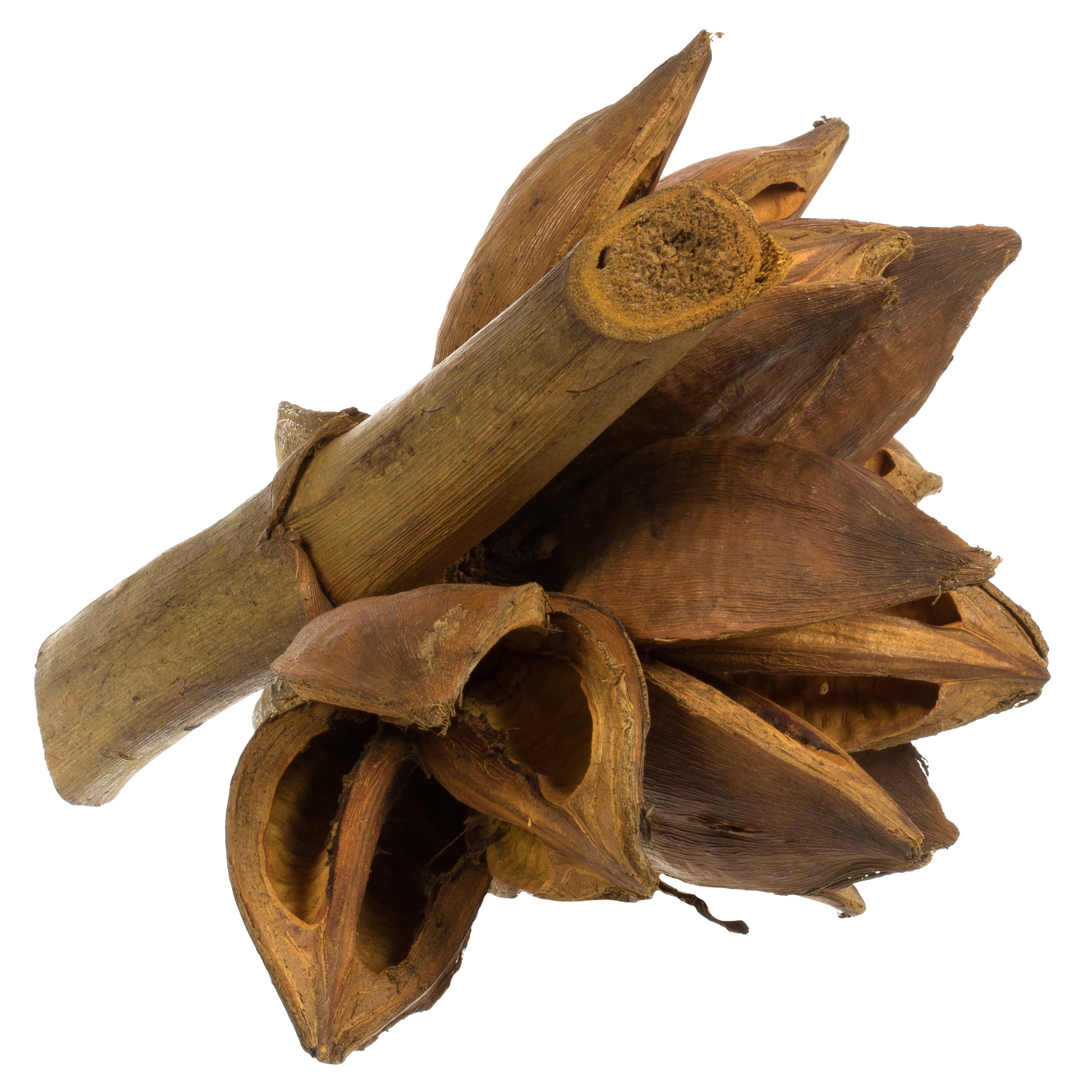 Vickerman 6" Aspen Gold Star Pod, 1 piece, Dried