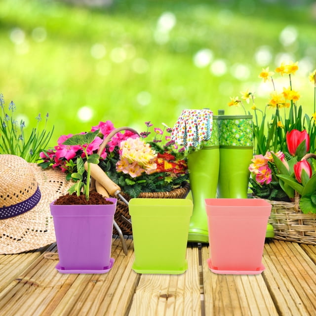 AURARMLET 24Ud Macetas Coloridas Para Interior Rectangular Espacio Para Y Jardín