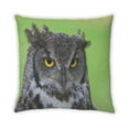 thumbnail image 2 of Ahgly Company Animals Owl Indoor Throw Pillow, 18 inch by 18 inch, 2 of 6