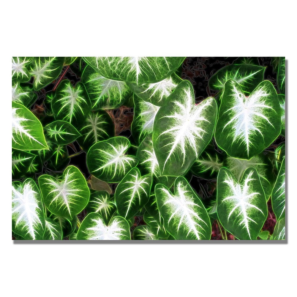 Trademark Art "Hearts & Light" Canvas Wall Art by Kathie McCurdy