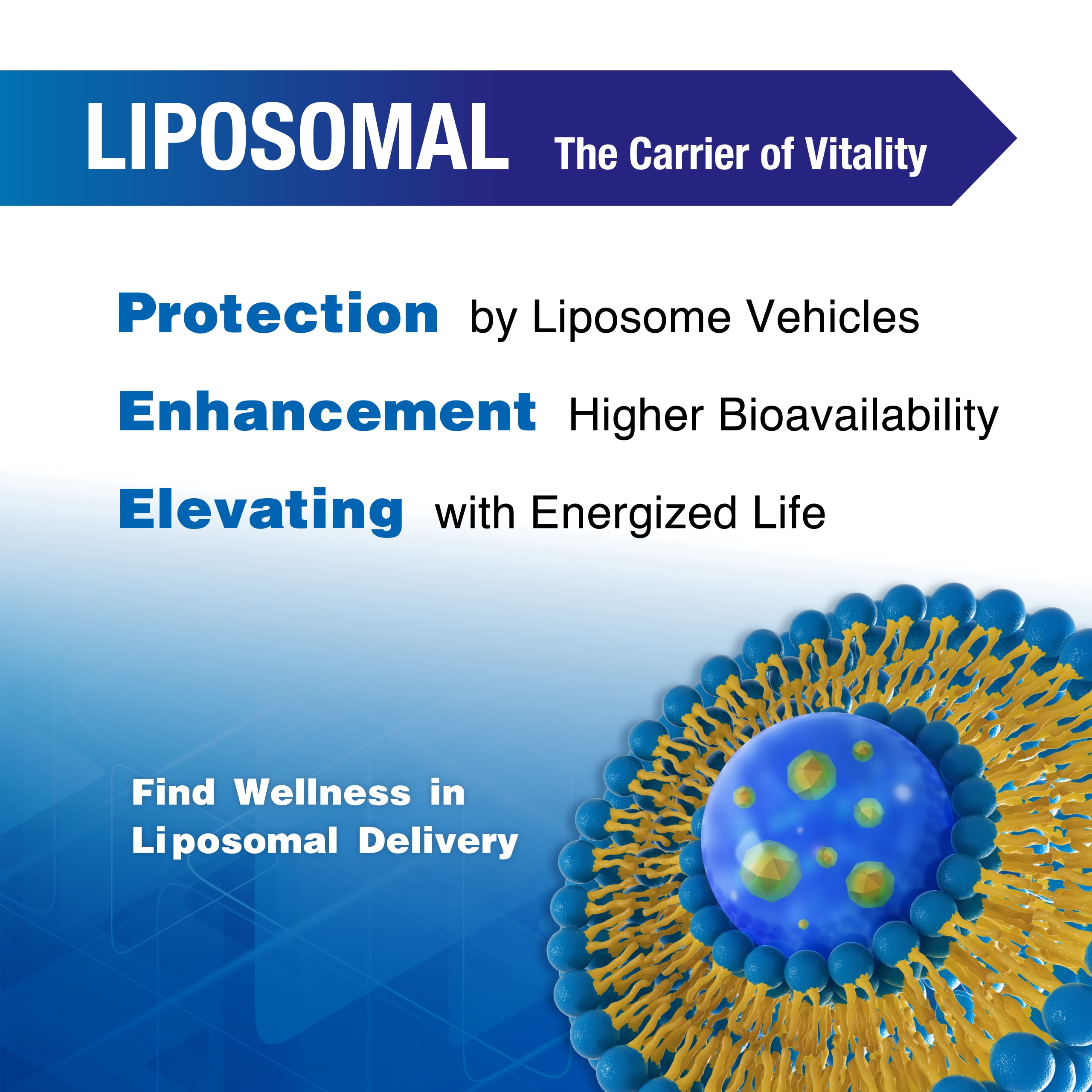 Lovita Liposomal NR (Nicotinamide Riboside) 1000 mg with Quercetin & Trans-Resveratrol, Support Cellular Health and Healthy Aging, 100 Vegan Enteric-Coated Capsules