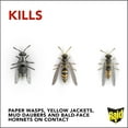thumbnail image 5 of Raid Killer Spray Outdoor & Indoor Wasp & Hornet Insecticide Spray 14 oz, 5 of 6
