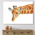 thumbnail image 1 of Designart Portrait d'Une Girafe IX Art mural sur toile, 1 of 4