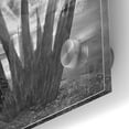 thumbnail image 3 of Epic Art 'Meduzalem' by Dariusz Klimczak, Acrylic Glass Wall Art, 24"x24", 3 of 3