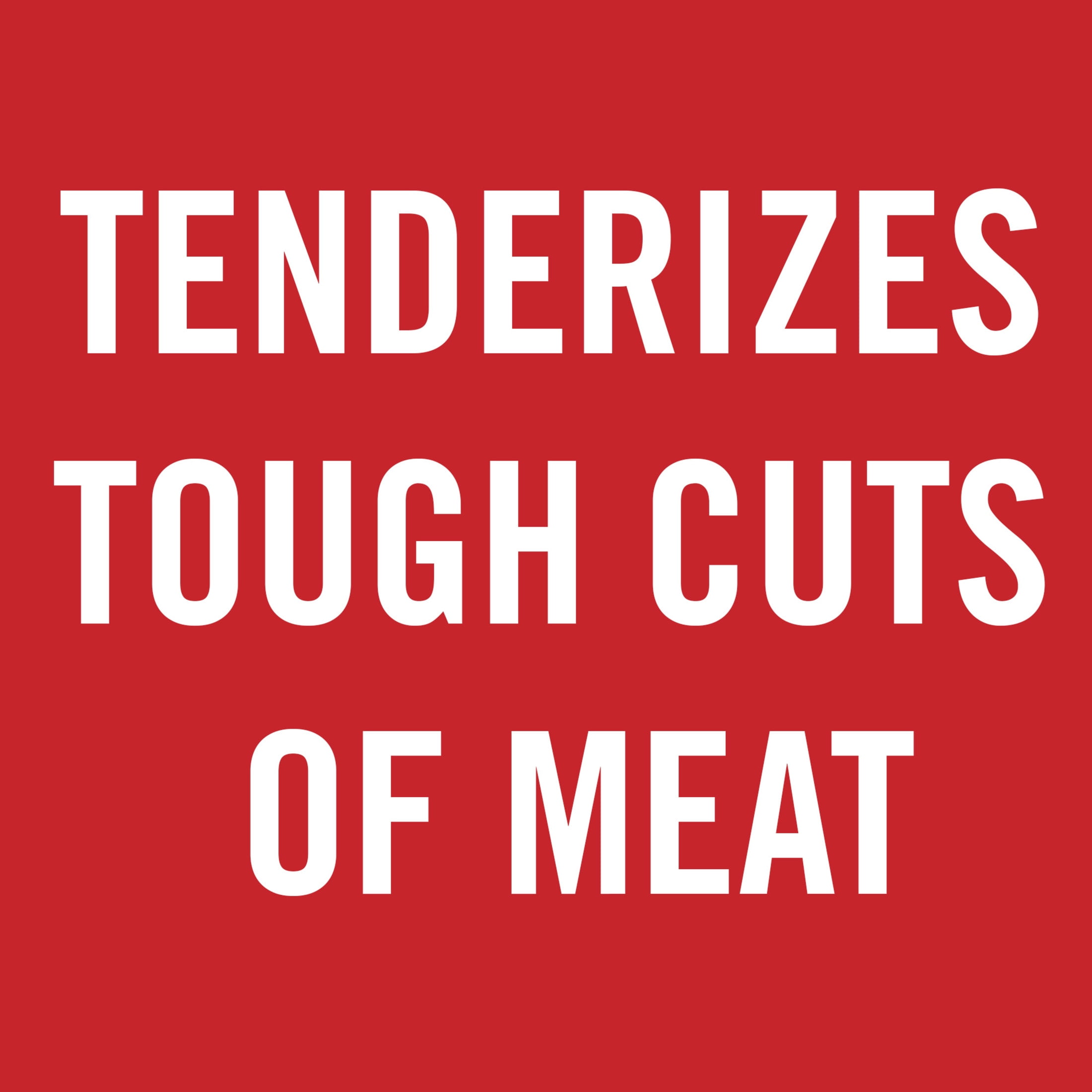 McCormick Kosher Non-Seasoned Meat Tenderizer, 3.37 oz Bottle