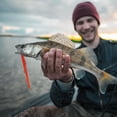 thumbnail image 1 of Señuelos de gusano, 10 piezas de cebo de pesca artificial de silicona, aparejos de pesca de calidad profesional, 1 of 11