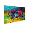 thumbnail image 2 of Trademark Fine Art 'Boo' Canvas Art by Marion Rose, 2 of 3