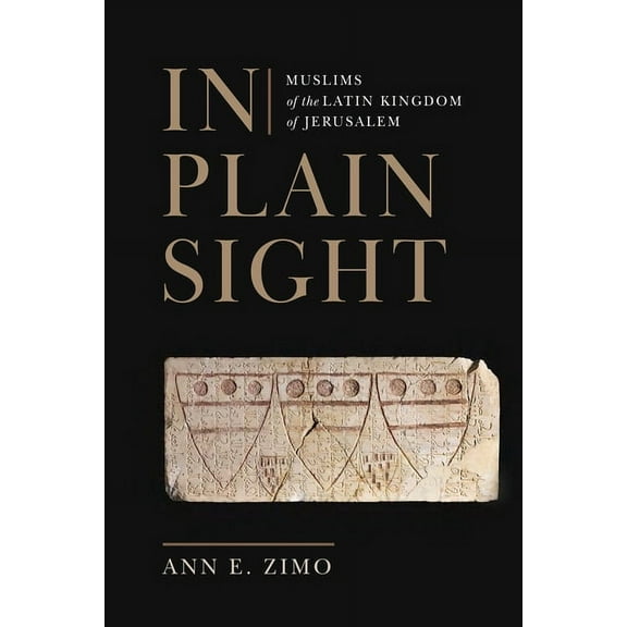 Middle Ages In Plain Sight: Muslims of the Latin Kingdom of Jerusalem, (Hardcover)