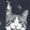 Navy, variant on Funny Gangster Cat T-Shirt, Meme Cats Graphic Tee, Vintage Cat Lover Shirt, Funny Cat Meme Tee