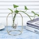thumbnail image 3 of Jarrones de plantas hidropónicas, jarrones de plantas hidropónicas transparentes, maceta para plantas hidropónicas, decoración del hogar, ingeniería de precisión, 3 of 8