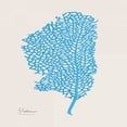 thumbnail image 2 of Koetsier, Albert 15x15 Black Ornate Wood Framed with Double Matting Museum Art Print Titled - Cobalt Sea Fan, 2 of 4