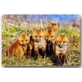 thumbnail image 1 of RYLABLUE Tapis de Sol Mignon Renard Bébé Tapis de Sol Extérieur / Intérieur Taille 23.6x15.7 Pouces, 1 of 1