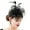 Black Mesh Headpiece, variant on Tea Party Fascinator Women Fascinator Headband Fascinator Derby Pillbox Hat Cocktail Tea Party Veil Mesh