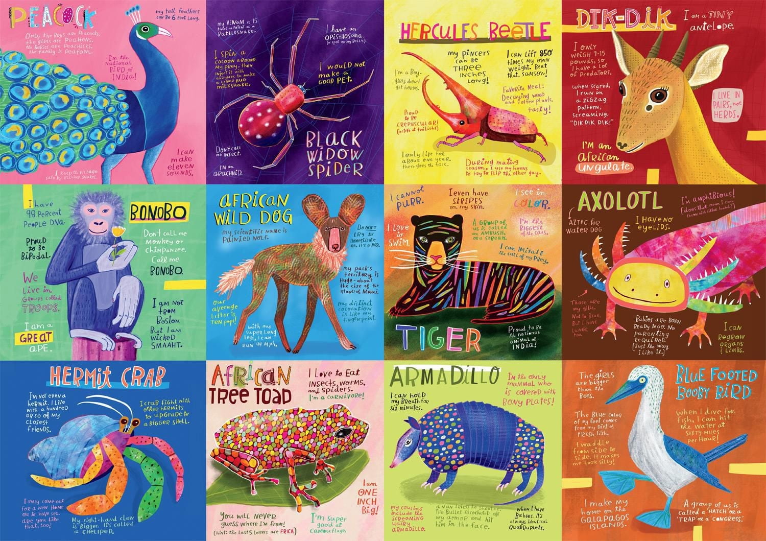 Buffalo Games - Le puzzle Amazing Nature - Unusual Animals - en 500 pièces